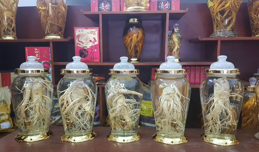 Cách ngâm nhân sâm tươi với rượu đơn giản, hiệu quả