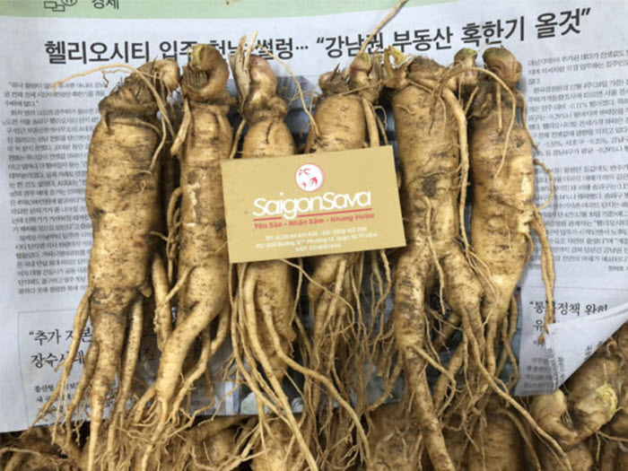 Nhân sâm tươi Hàn Quốc loại 6 củ 1kg