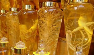 Những ai không nên uống rượu sâm?