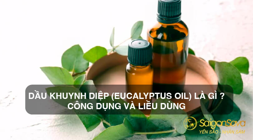 Dầu Khuynh Diệp (Eucalyptus Oil) là gì ? Công dụng và liều dùng