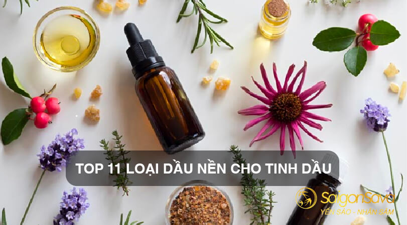 Top 11 Dầu Nền (Carrier Oils) Cho Tinh Dầu 2023